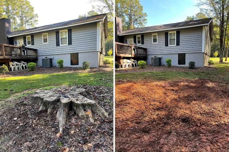 Tree Removal services in West Sacramento, California